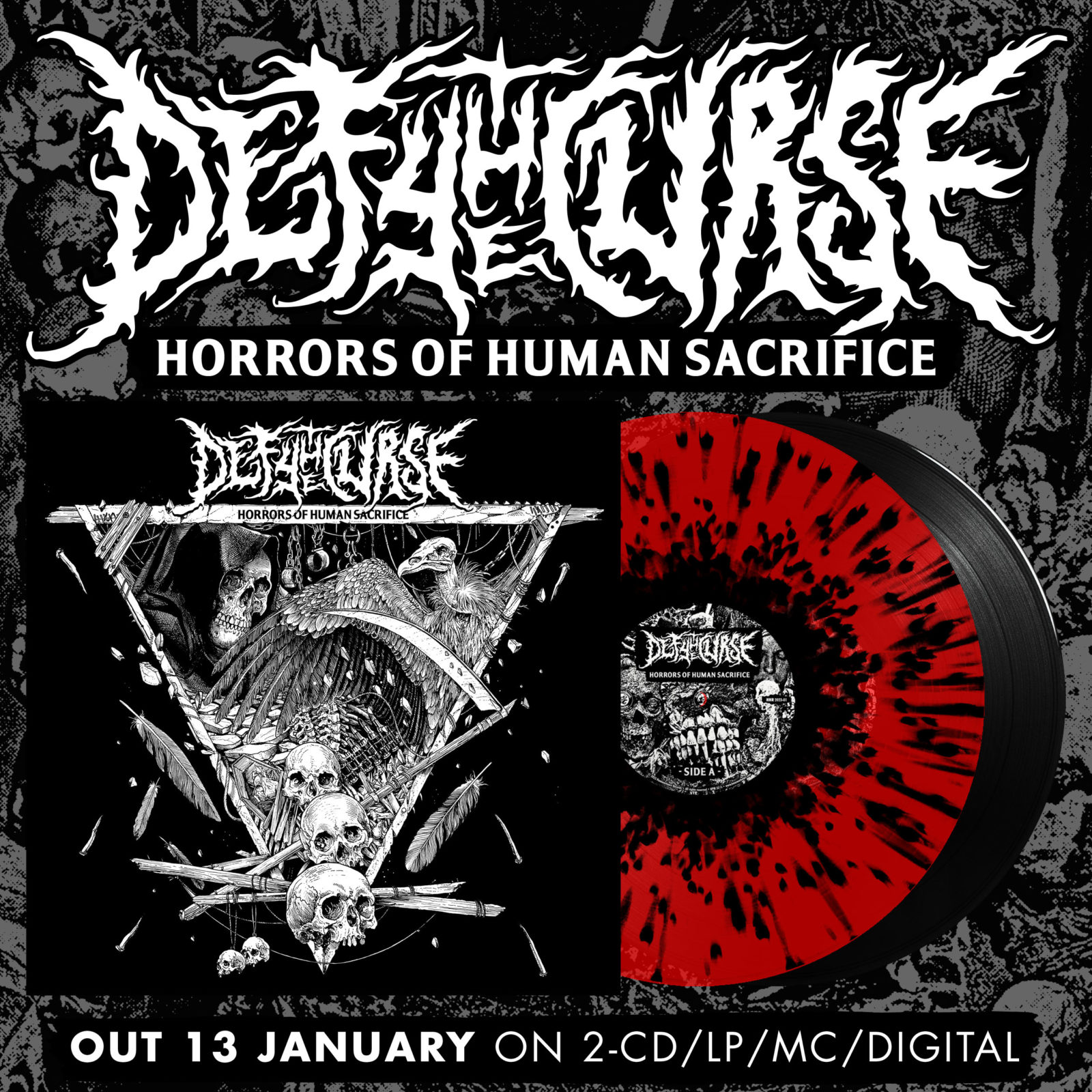hammerheart – Defy the Curse pre-orders online!